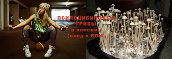 стаф Волосово