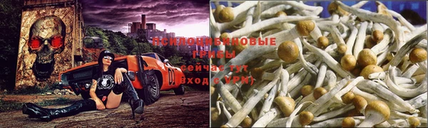 a pvp Волоколамск