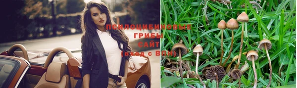 a pvp Волоколамск