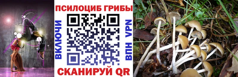 Галлюциногенные грибы Cubensis  Купить  Инта 